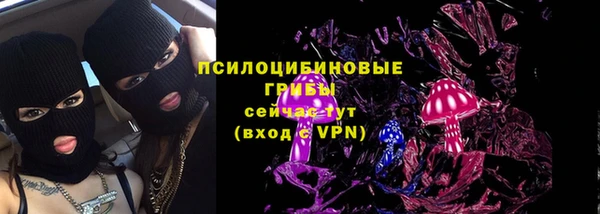 стаф Алексеевка