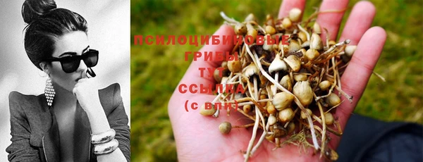 стаф Алексеевка
