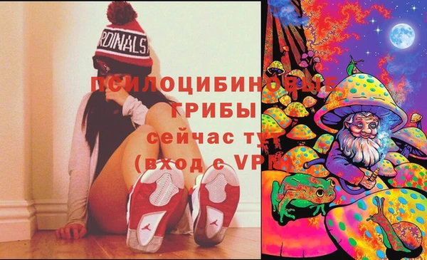 jwh Алзамай